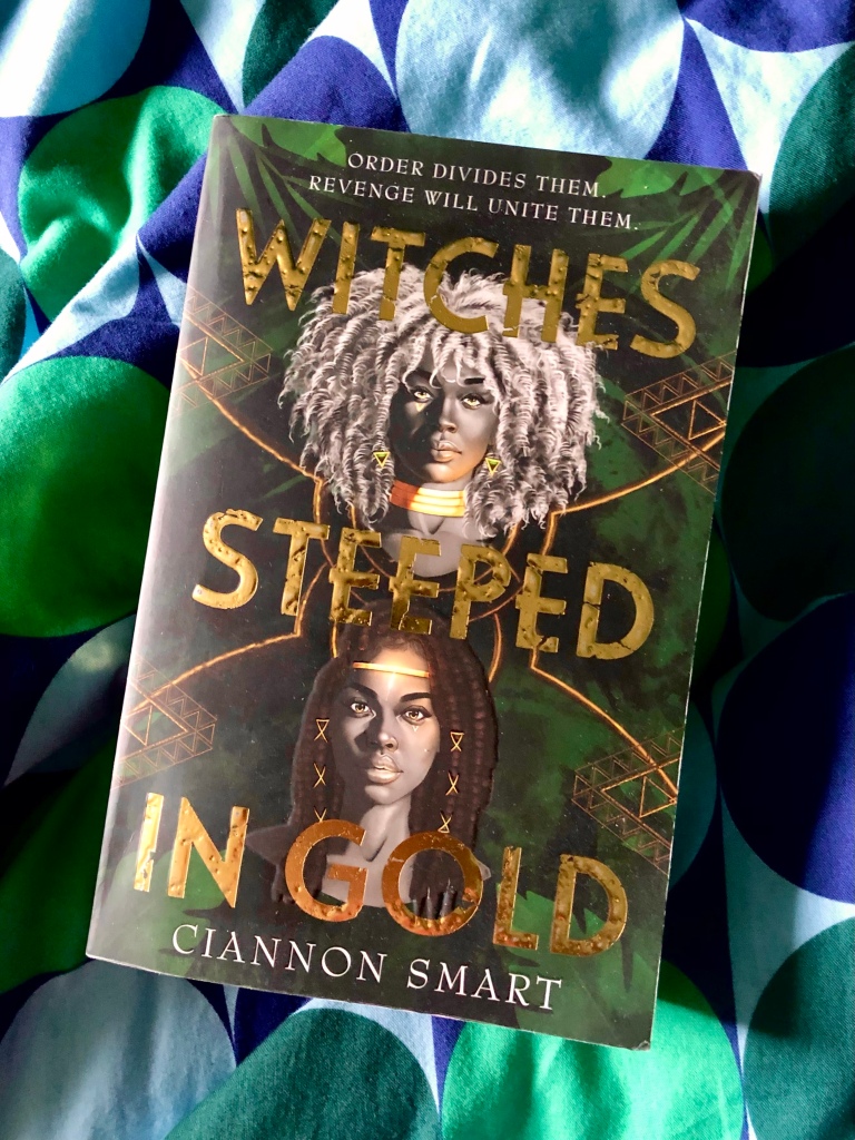 book cover with two young Black women, one with a white afro and the other with black braids, gazing at the reader